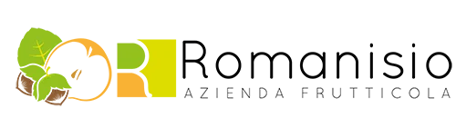 Logo-romanisio-nashi-oriz