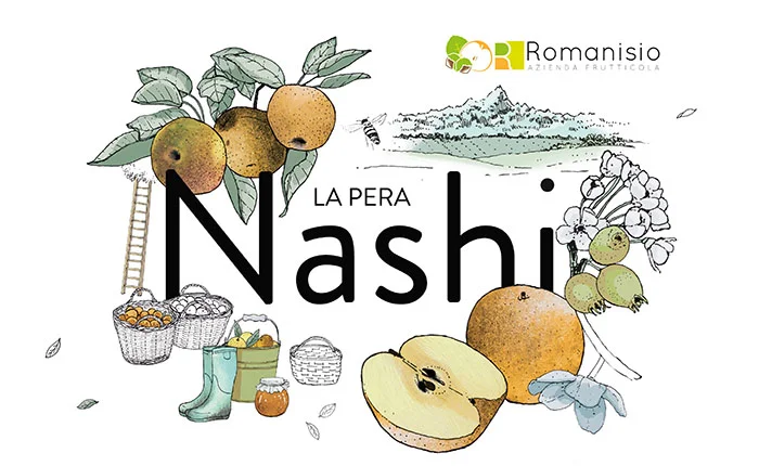 logo nashi